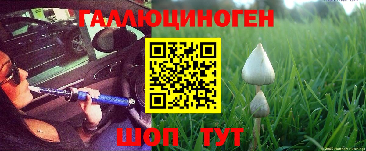 Псилоцибиновые грибы Cubensis  Галлюциногенные грибы Psilocybine cubensis  Саров  Вход с VPN 