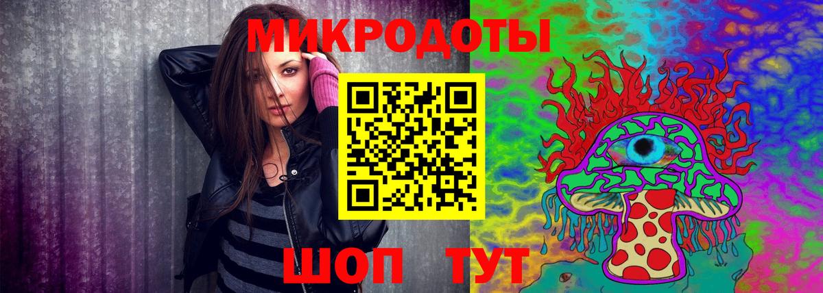 Псилоцибиновые грибы Psilocybe Саров